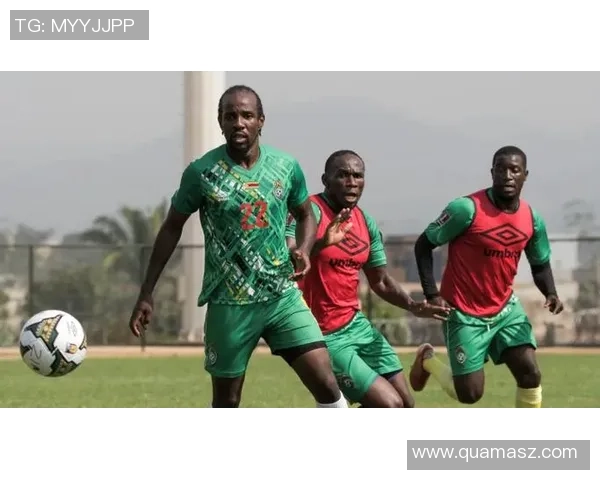 埃及与津巴布韦的足球对决分析及历史交锋回顾